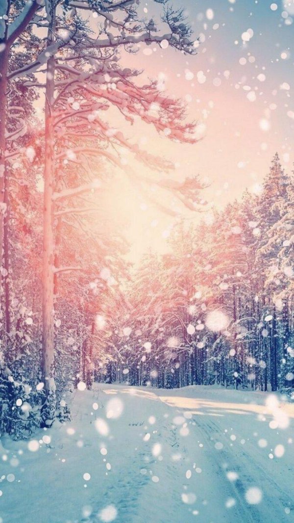 Зима вертикальные