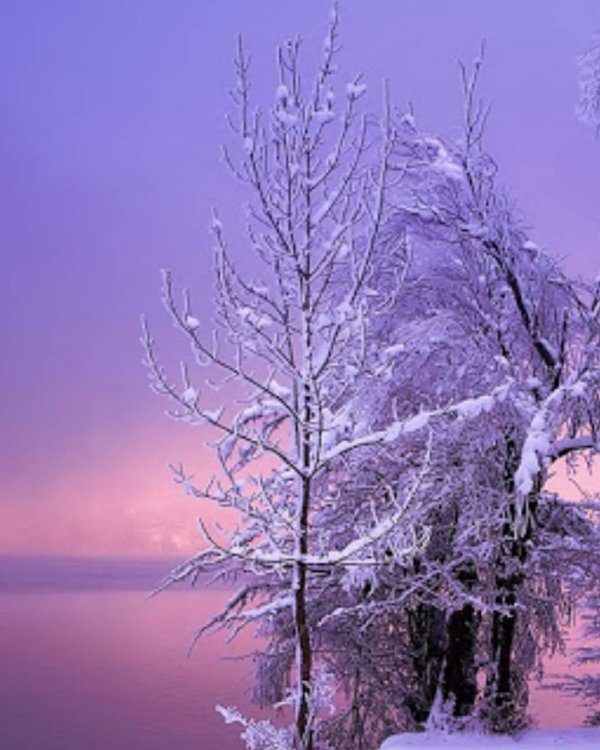 Зима вертикальные