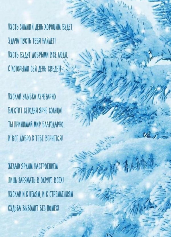 Зима вертикальные