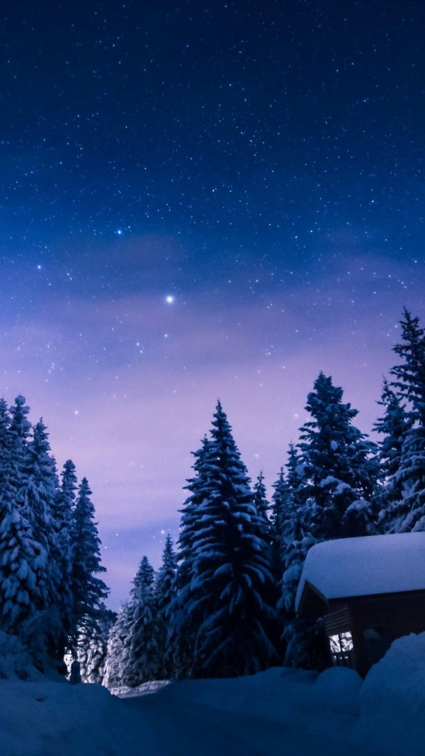 Зима вертикальные