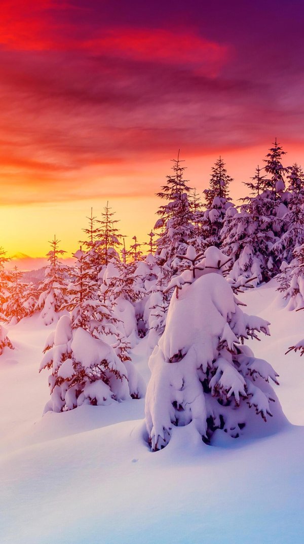 Зима вертикальные