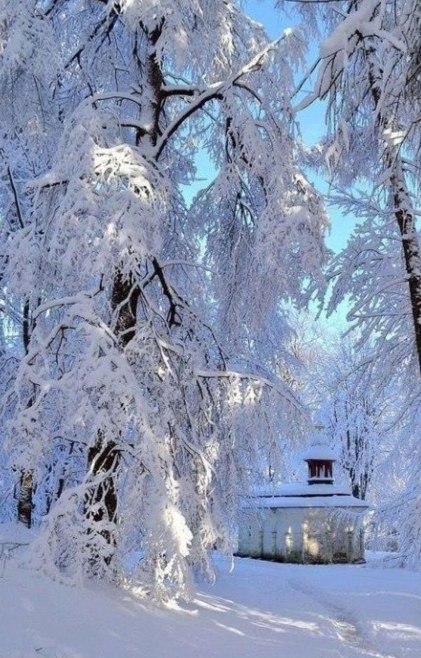 Зима вертикальные