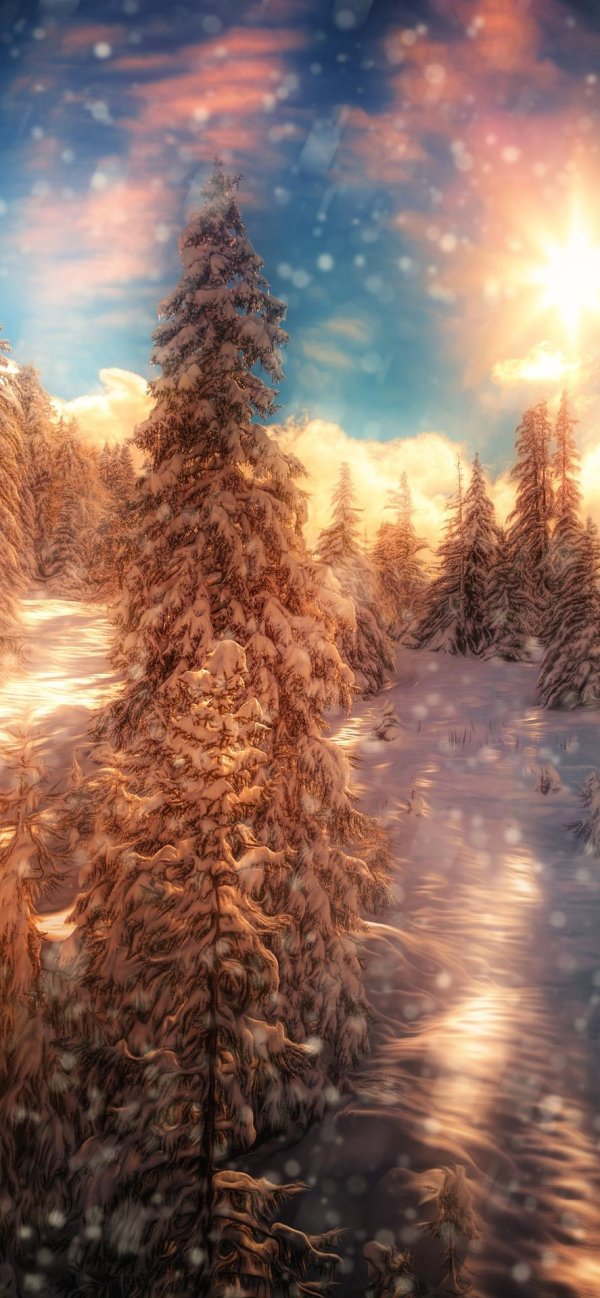 Зима вертикальные