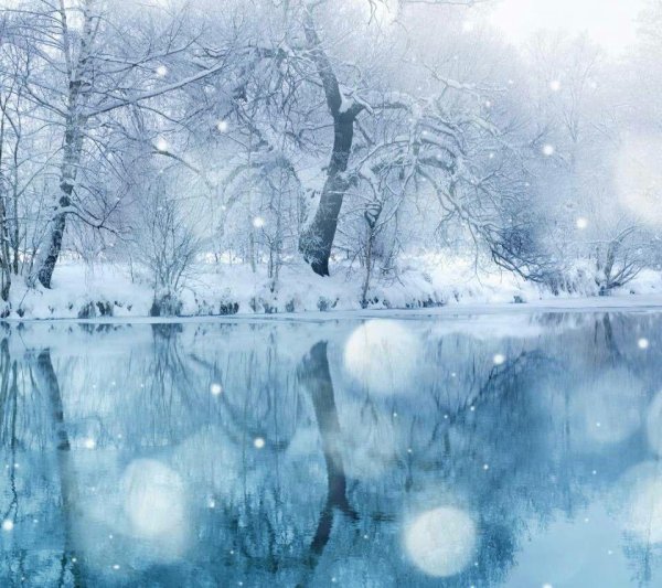 Зима вертикальные