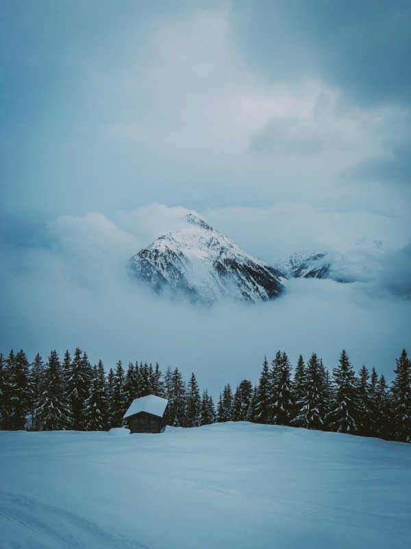 Зима вертикальные