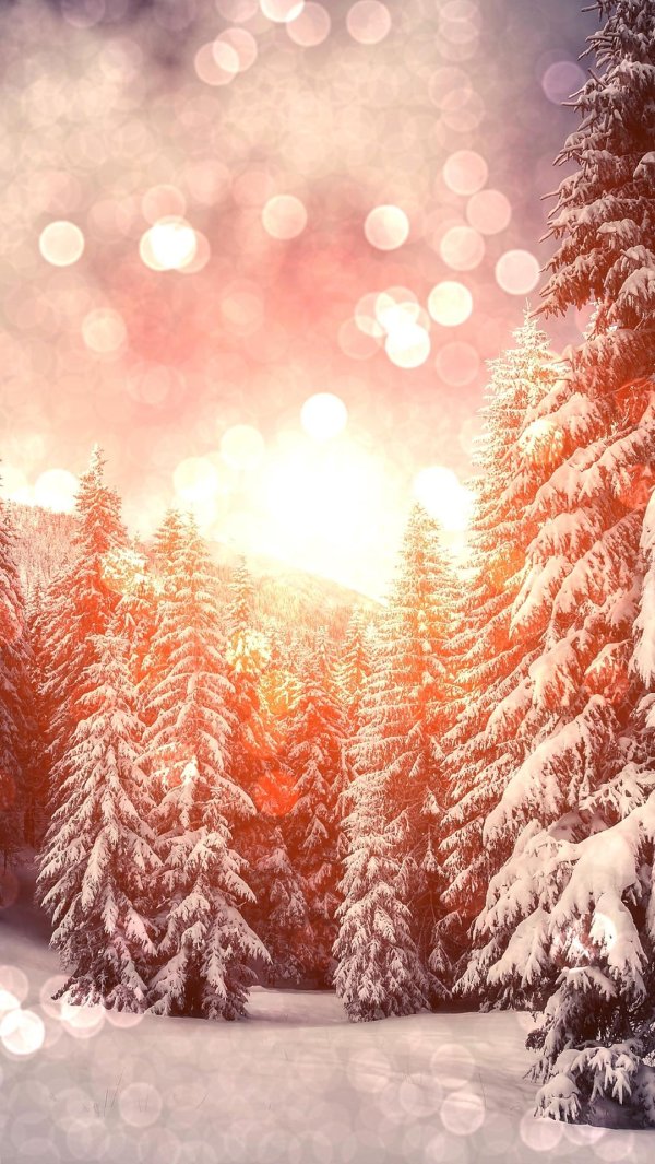 Зима вертикальные