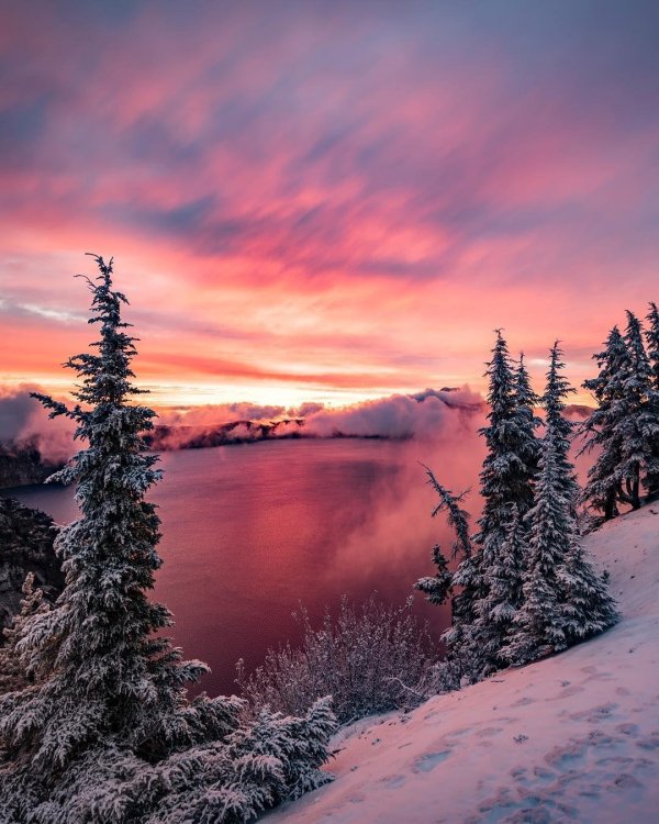 Зима вертикальные