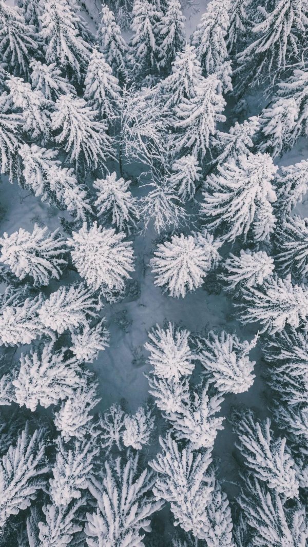 Зима вертикальные