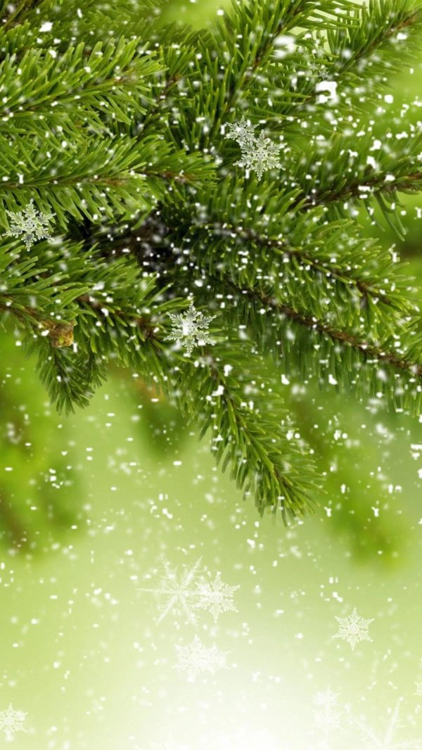 Зима вертикальные