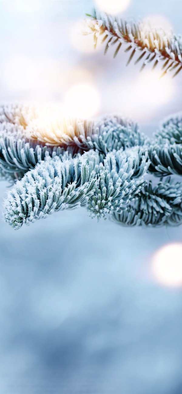 Зима вертикальные