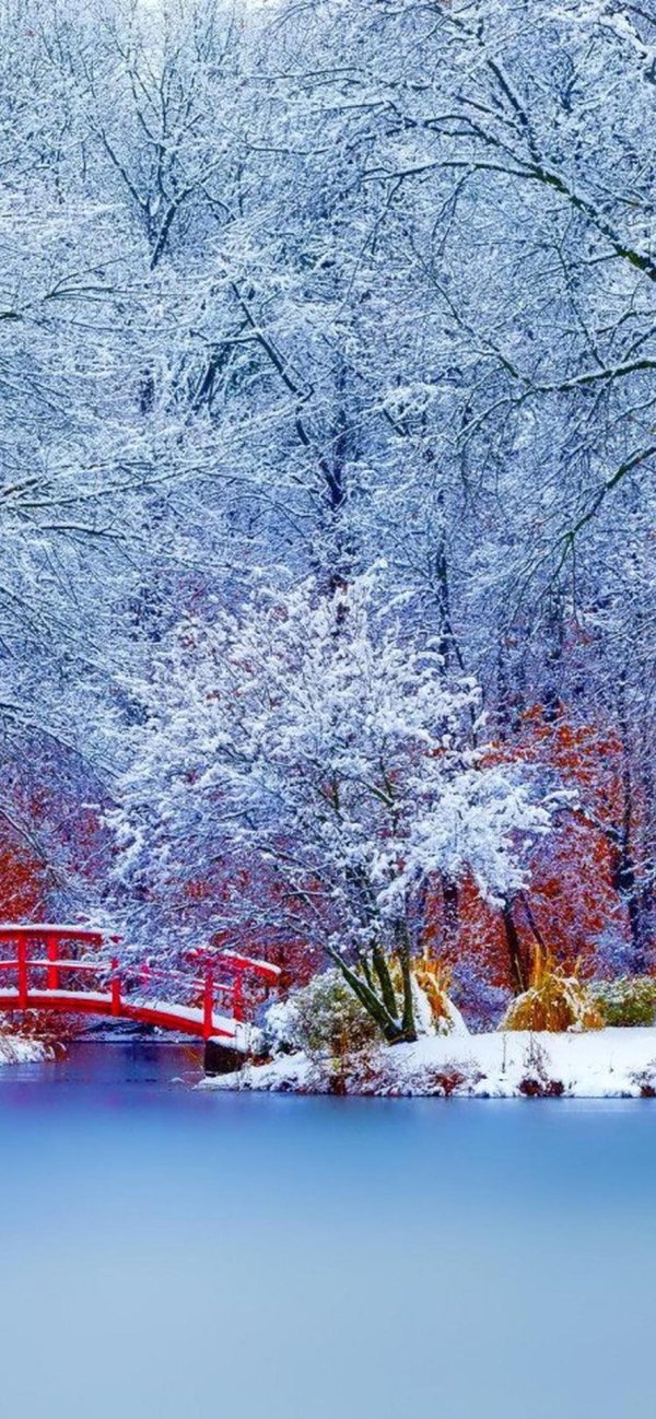 Зима вертикальные