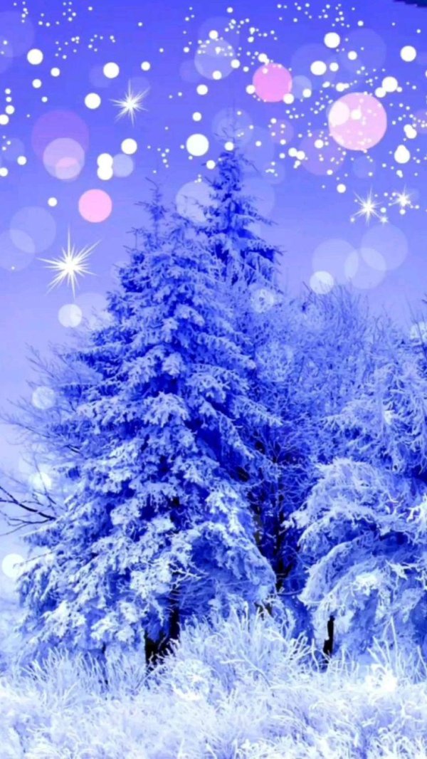 Зима вертикальные