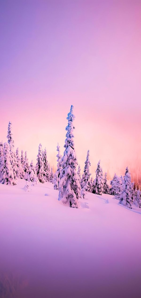 Зима вертикальные