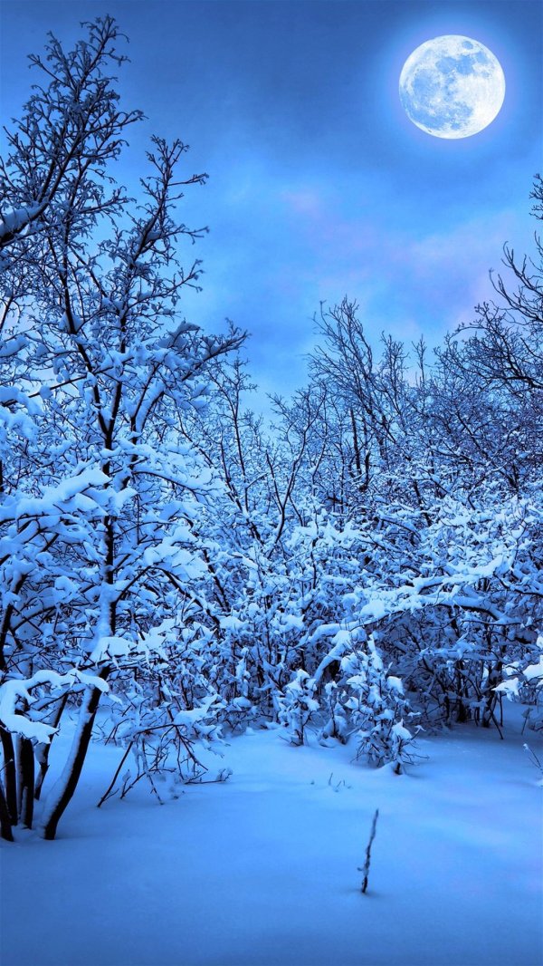 Зима вертикальные