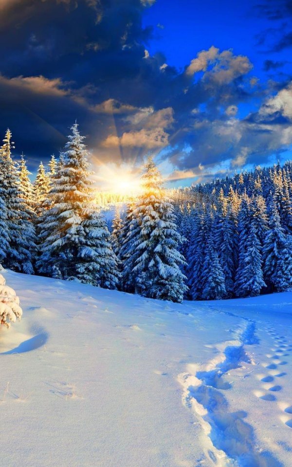 Зима вертикальные