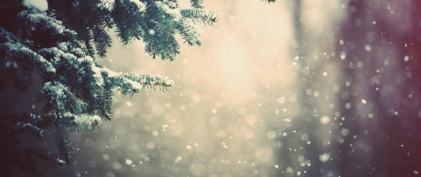 Зима вертикальные