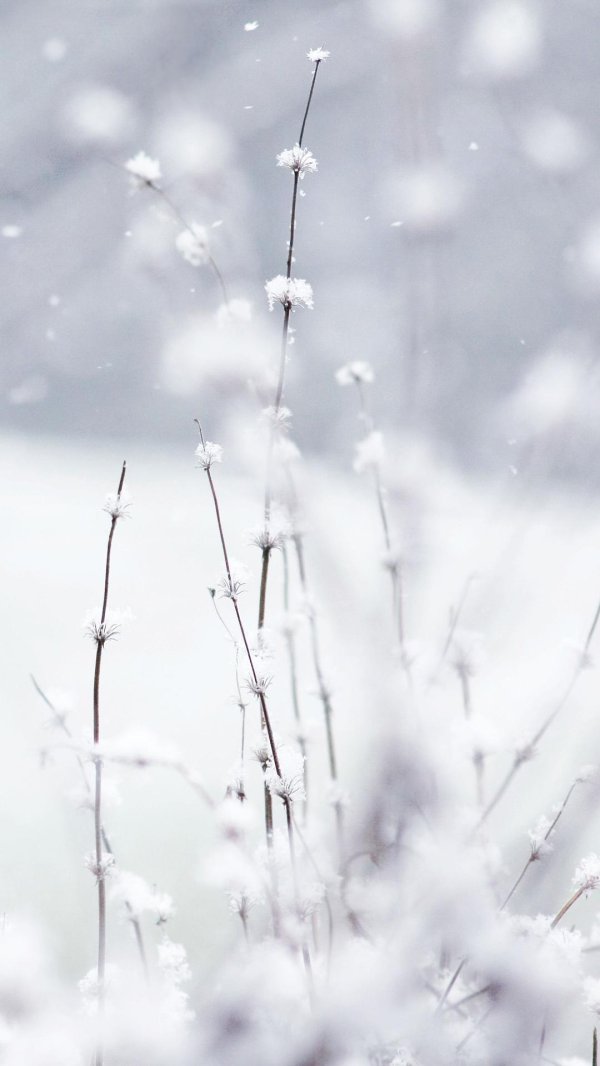 Зима вертикальные