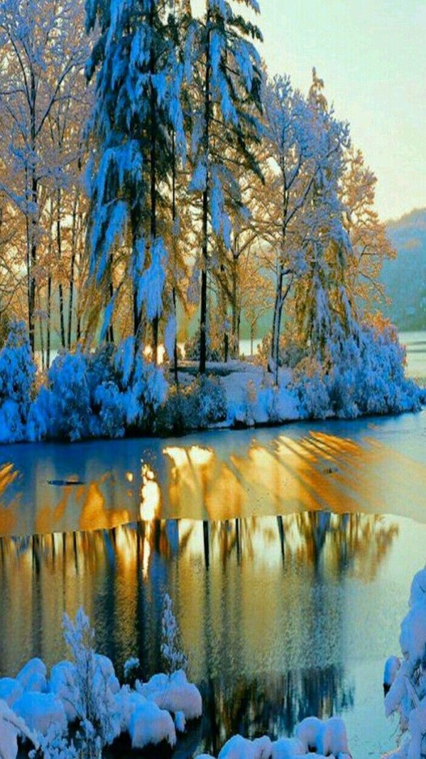 Зима вертикальные