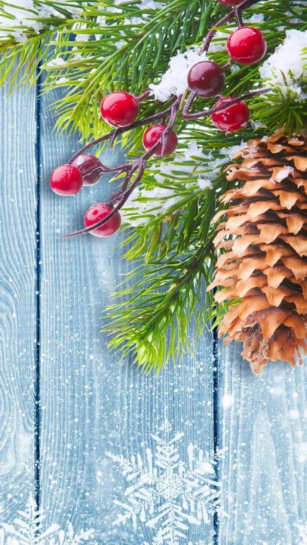 Зима вертикальные