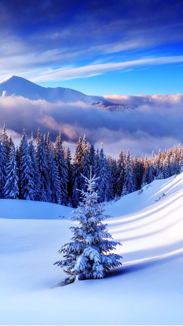 Зима вертикальные