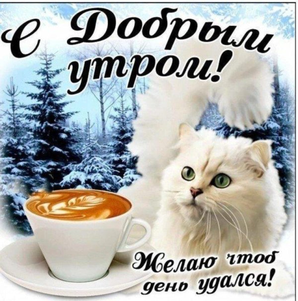 Зима с надписями и пожеланиями женщине