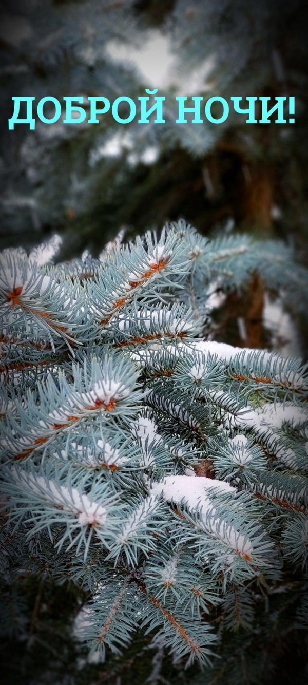 Ночь зима с надписями