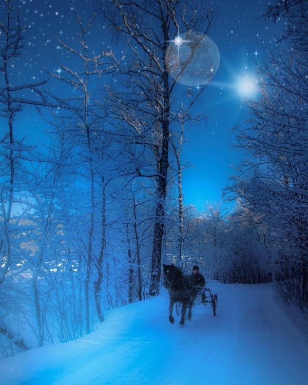 Ночь зима с надписями