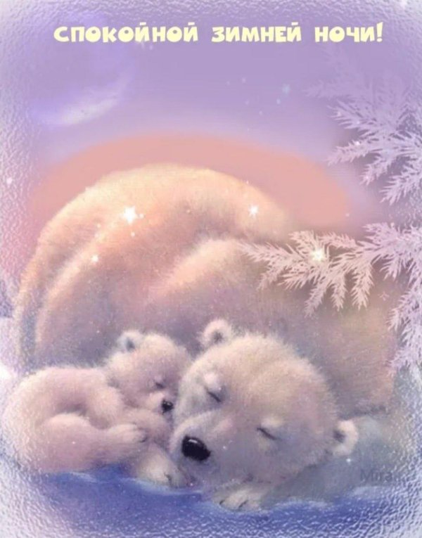 Ночь зима с надписями