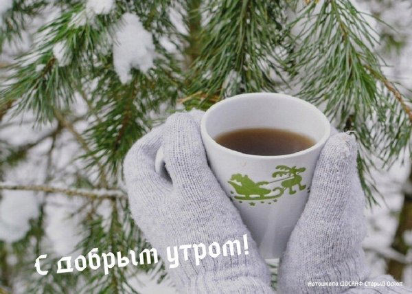 Чашка чая зима