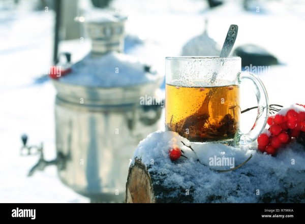 Чашка чая зима