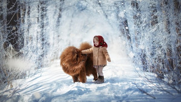 Зима и дети