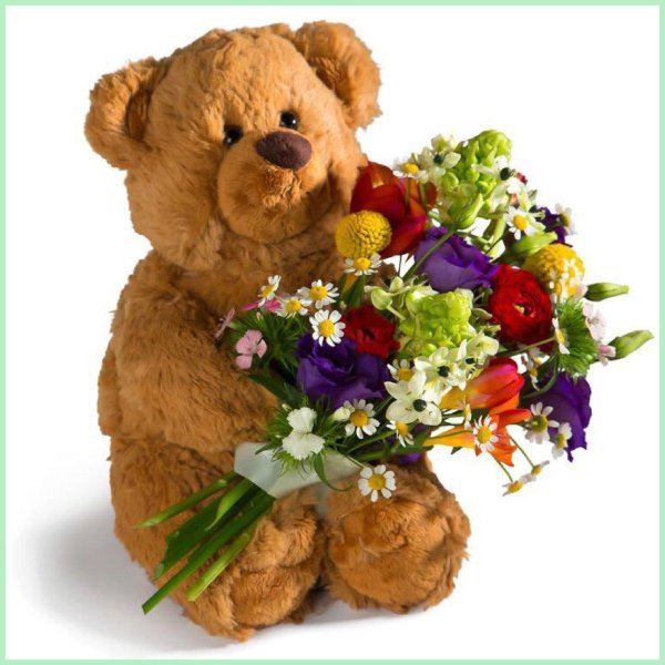 тедди беар цветы
