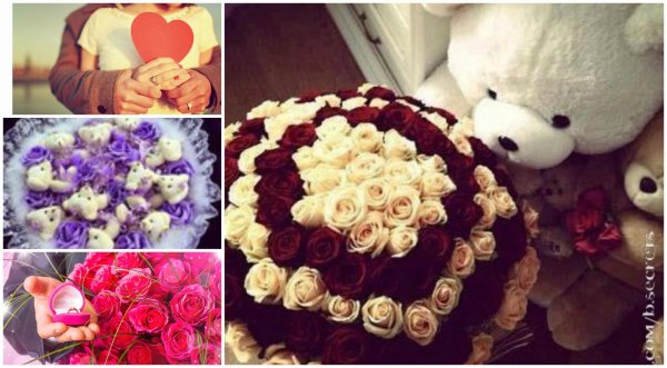 мишка и роза