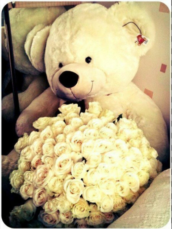 цветы и мишка