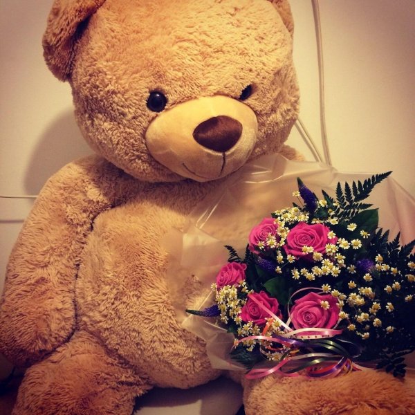 плюшевая мишка