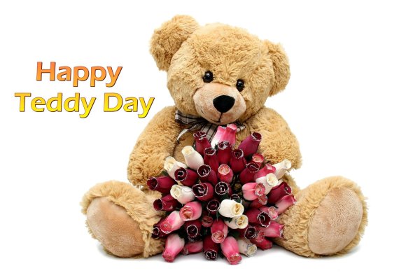 valentines day teddy bear