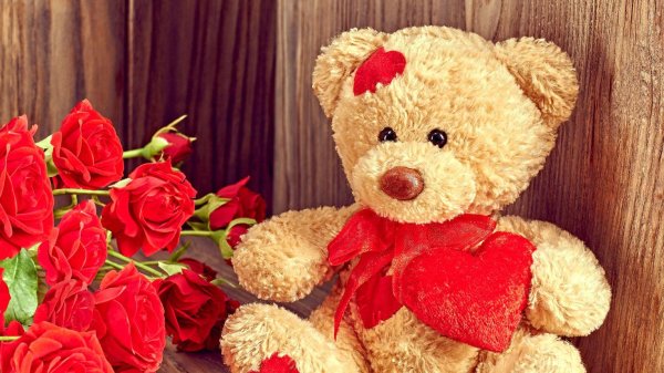 красивые мишки