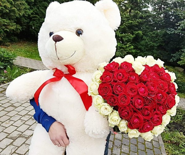 большие мишки