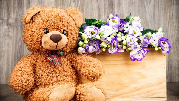 плюшевая мишка