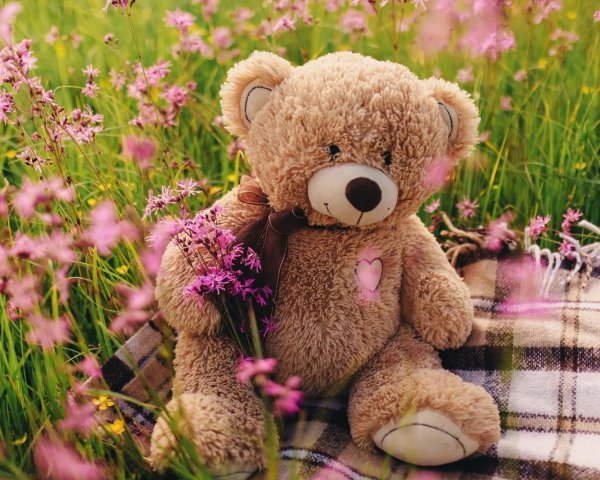 тедди беар цветы