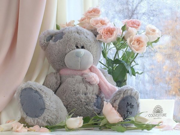 мишка тедди