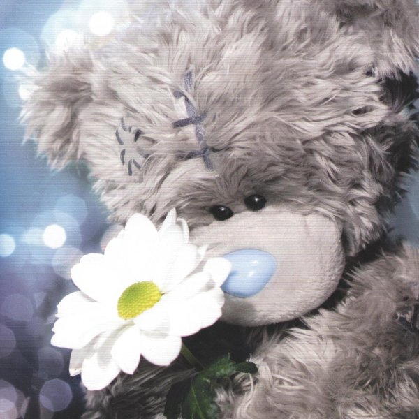 Мишка с цветами