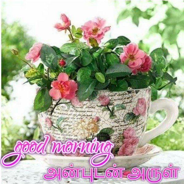 цветок в кашпо