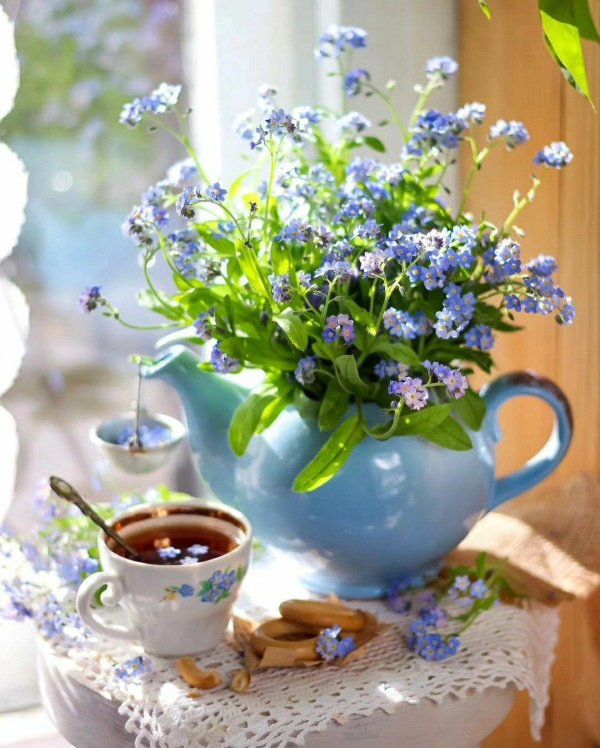 цветок незабудка