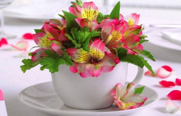 цветок альстромерии