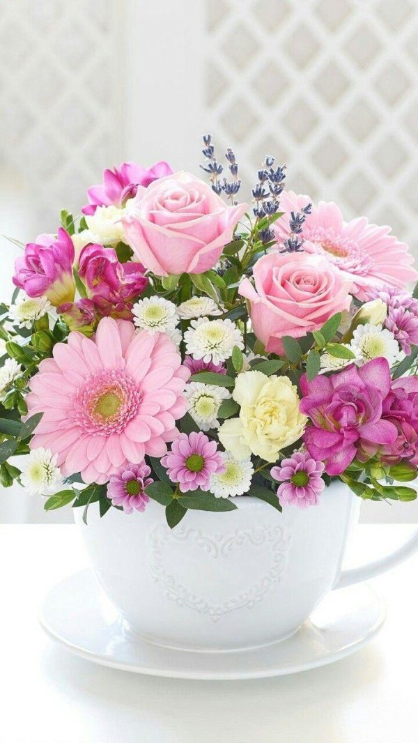 нежные букеты цветов