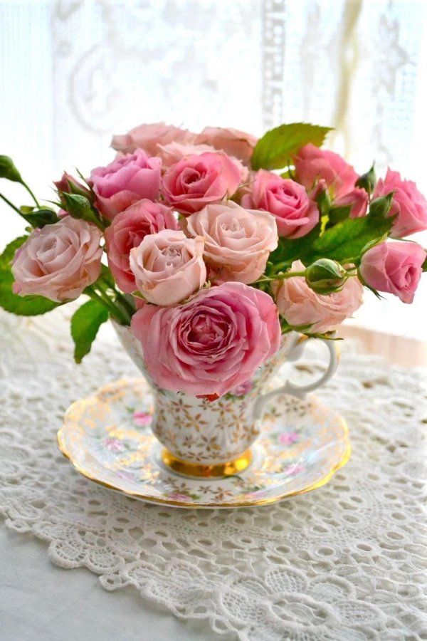 доброго утра розы