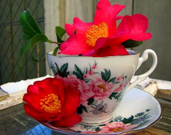 чайная чашка