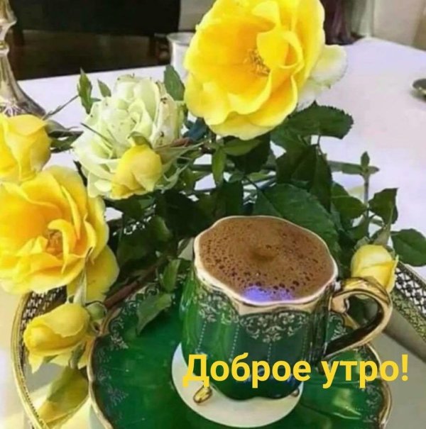 доброго утра всем