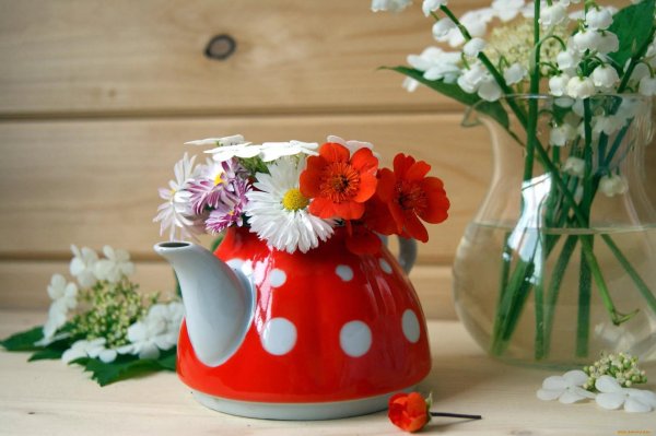 доброго утра ромашки